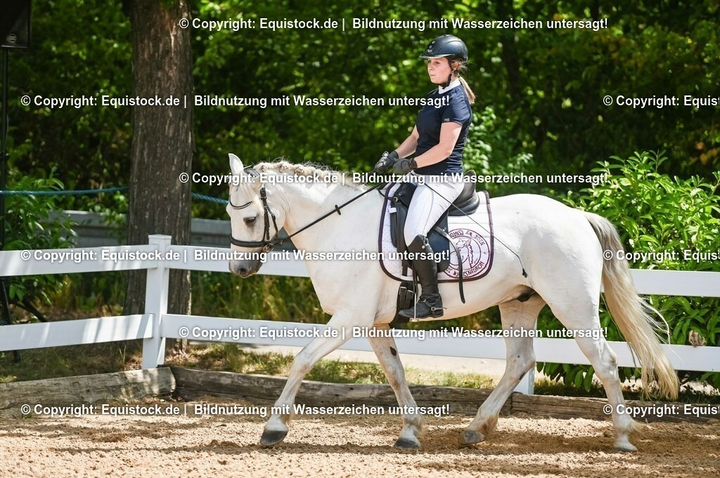 20230715_09_Dressur-WB_0052 | equistock