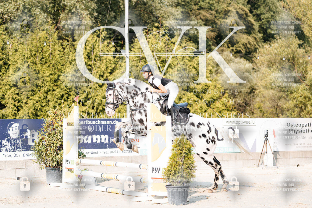 CK902800 | Turnierfotografie Pferdefotografie Trier Rheinland-Pfalz Pferdesport Reitsport Tierfotografie Sportfotografie Pferdevideo Pferdevideografie Equestrianvideography equestrianphotography  - Realisiert mit Pictrs.com