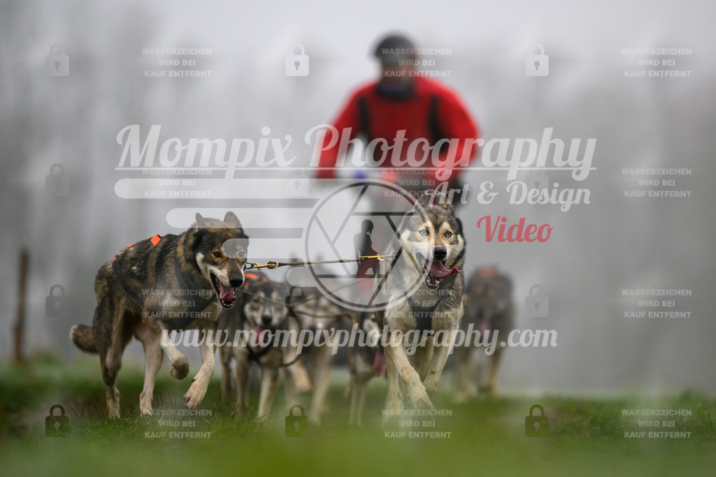 MompixPhotography_CDF2023_FFST_Di_Kart-89 | PayLife