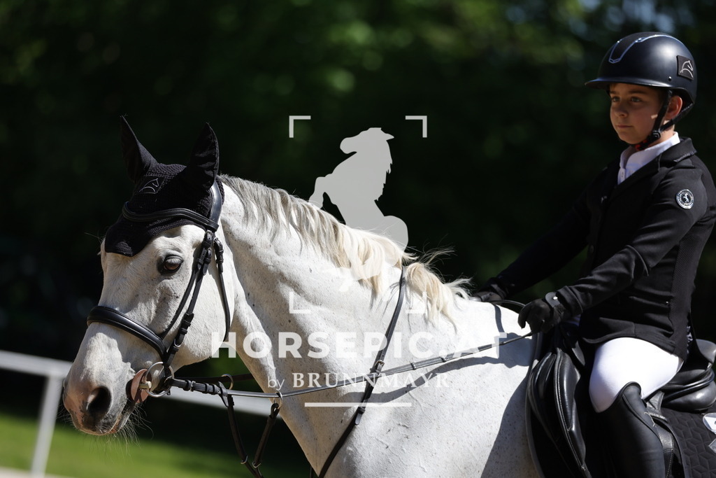 0P6A0445 | Willkommen bei Brunnmayr - Design & Fotografie – Ihrem Spezialisten für Reitturniere und Pferdeveranstaltungen in Oberösterreich, Salzburg und Bayern! Seit über 17 Jahren sind wir leidenschaftlich dabei.