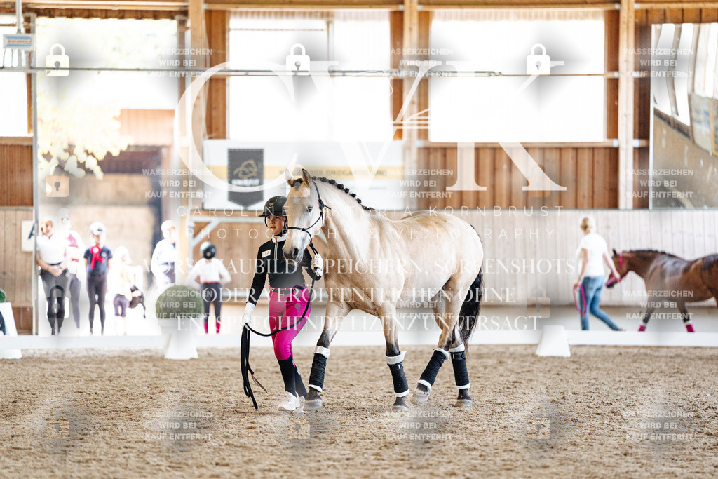 CK907155 | Turnierfotografie Pferdefotografie Trier Rheinland-Pfalz Pferdesport Reitsport Tierfotografie Sportfotografie Pferdevideo Pferdevideografie Equestrianvideography equestrianphotography  - Realisiert mit Pictrs.com