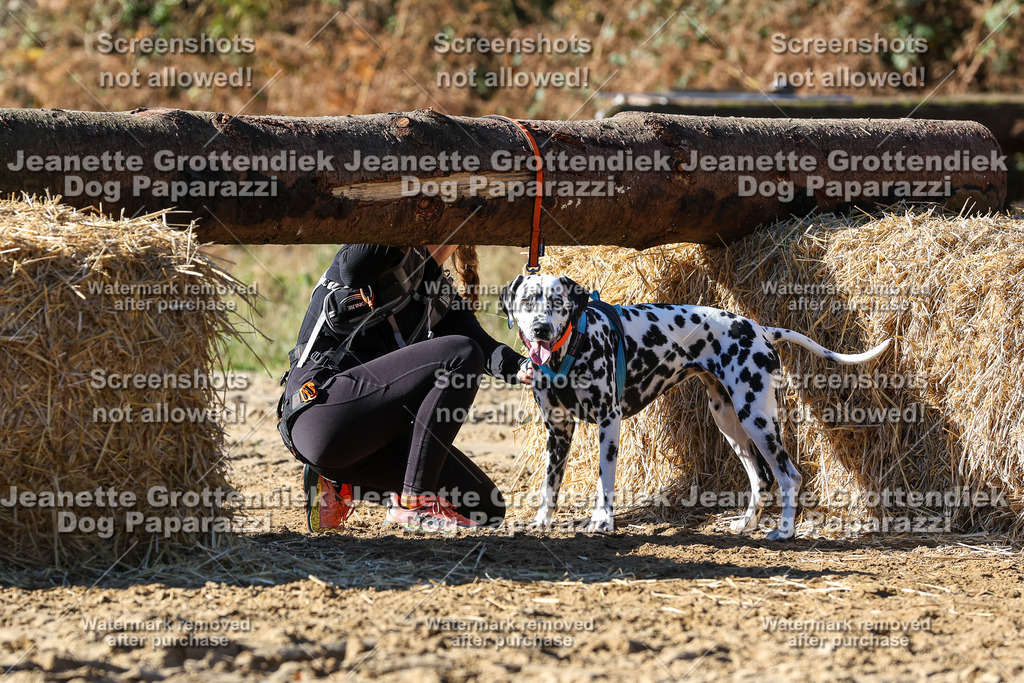 Dog Paparazzi - Strongdog 10-25-2765 | Dog Paparazzi Jeanette Grottendiek Fotografie & Videografie - Realisiert mit Pictrs.com