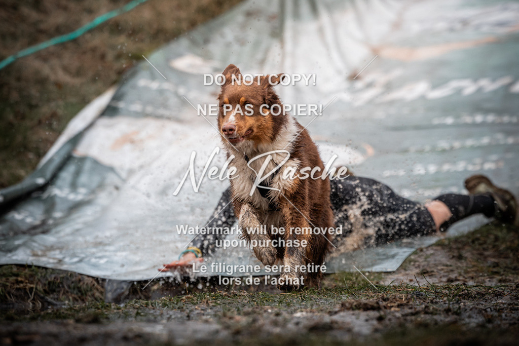 nelerasche_1230-1300_116 | nelerasche