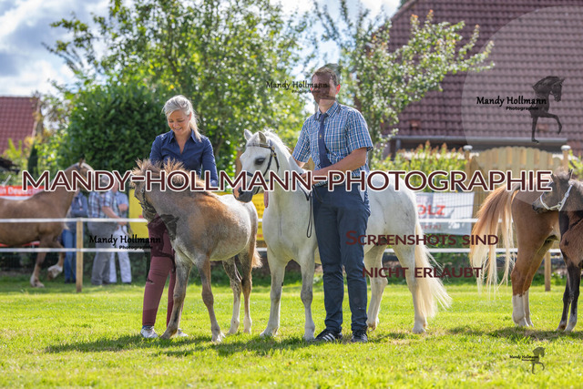 IG WELSH VM 2024-204 | mandyhollmannphotographie