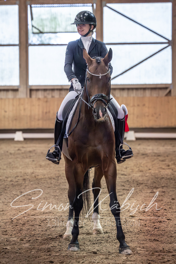 20251011-_3LI2297 | Tierfotografie Pferde, Hunde, Katzen, Haustiere.
Turnierfotografie Reitturniere, Reiten, Springreiten, Dressur in Hanau, dem Main-Kinzig-Kreis und dem Rhein-Main- Gebiet um Frankfurt