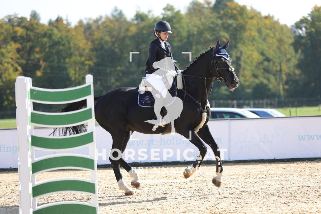 0P6A8025 | Willkommen bei Brunnmayr - Design & Fotografie – Ihrem Spezialisten für Reitturniere und Pferdeveranstaltungen in Oberösterreich, Salzburg und Bayern! Seit über 17 Jahren sind wir leidenschaftlich dabei.