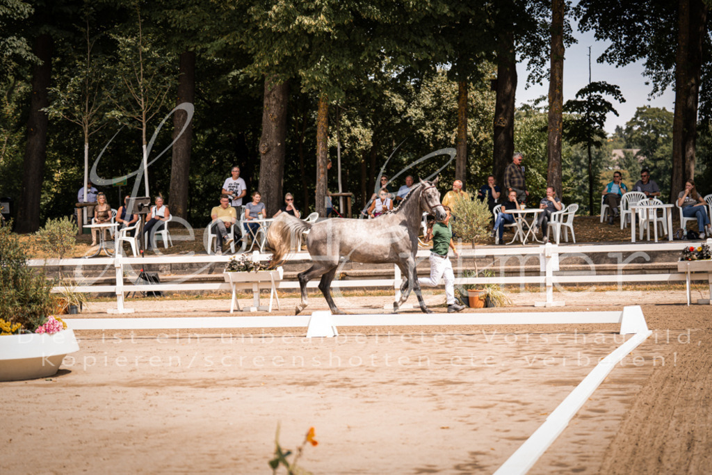 1.Fr00006 | Leoni Ertmer Photography - Realisiert mit Pictrs.com