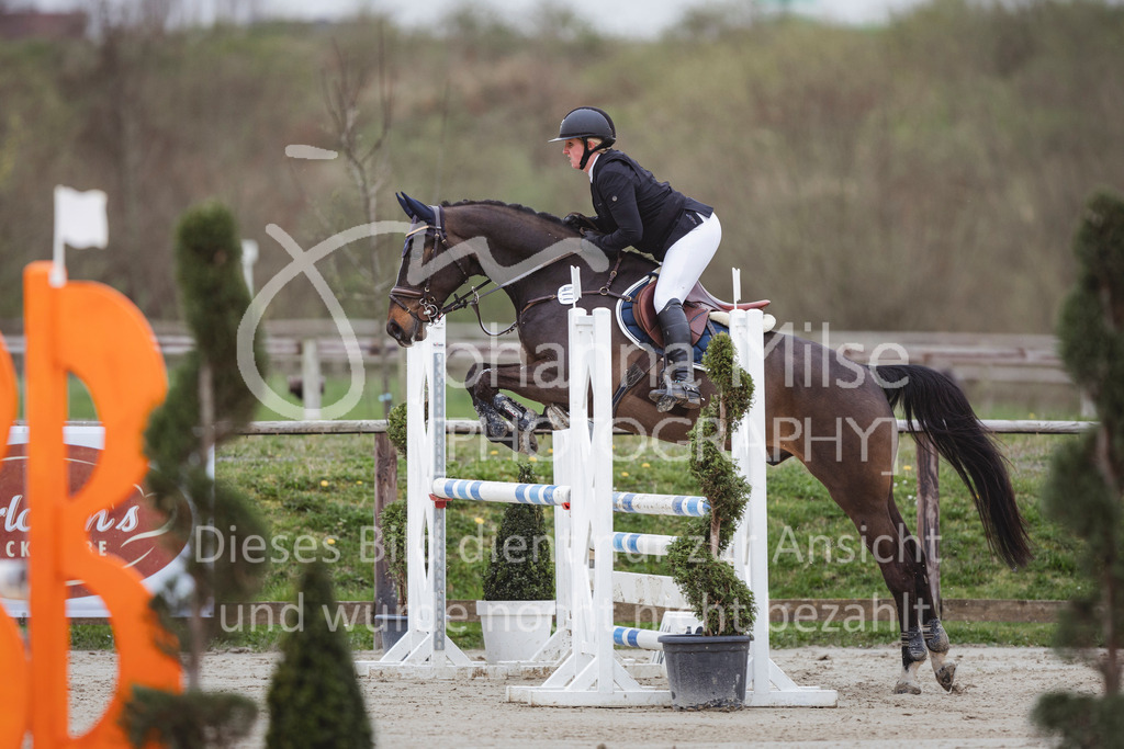 240330_Fruehlingsfest_Stil-A2-2-702 | Deine schönsten Turniermomente als professionelle Fotos! Entdecke hochwertige Pferdesport-Fotografie im Online-Shop. Jetzt Fotos finden & bestellen!