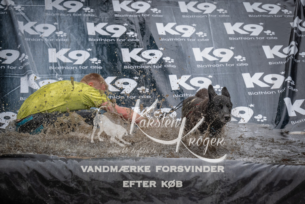 1144_ZZ93408 | kk-dogfotos