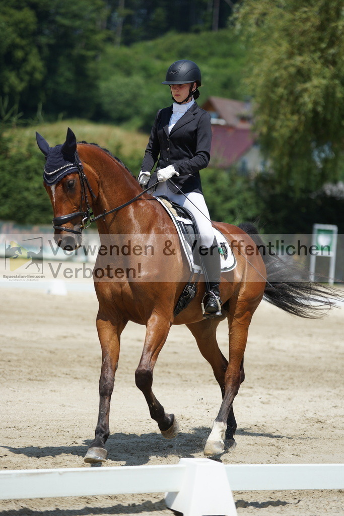 DSC04976 | equestrian-live-com