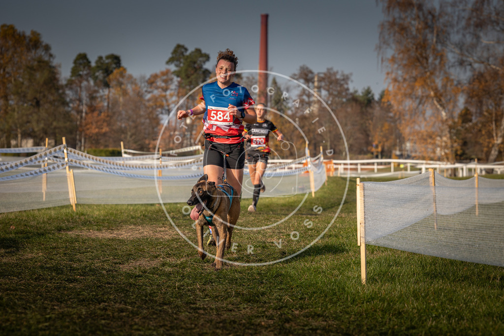 CaniXpix_0L8A9895 | Hundefotografie, Tierfotograf, Pfotenfotografie, Fotoshooting Hund, Hunde Portrait, Hundesport, Hundeportraits, Heideshooting, Hunde, Sportfotograf, Hundefotograf, Turnierhundsport, THS,  - Realisiert mit Pictrs.com