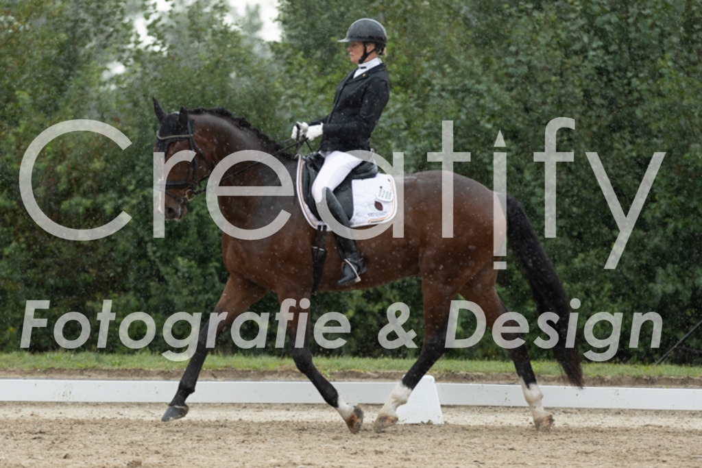 IMG_4351 | Creatify Fotografie