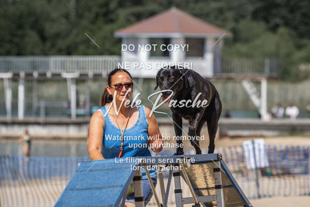 nelerasche_saBeachility_558 | nelerasche