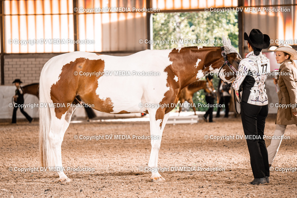 ZH100039 | dv-media-shop - Realisiert mit Pictrs.com