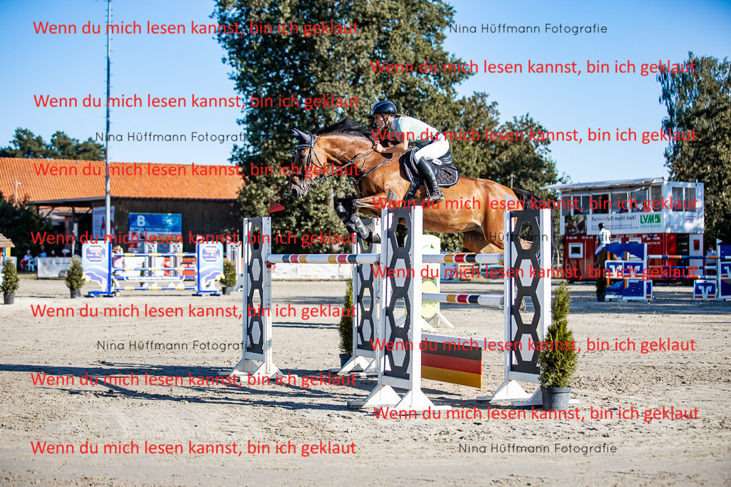BK1A8173 | Turnierbilder Turnierfotos Nina Hüffmann Turnierfotografie Pferdefotografie Tierzeichnung Haustierzeichnung Pferdezeichnung Hundezeichnung Videograf  - Realisiert mit Pictrs.com
