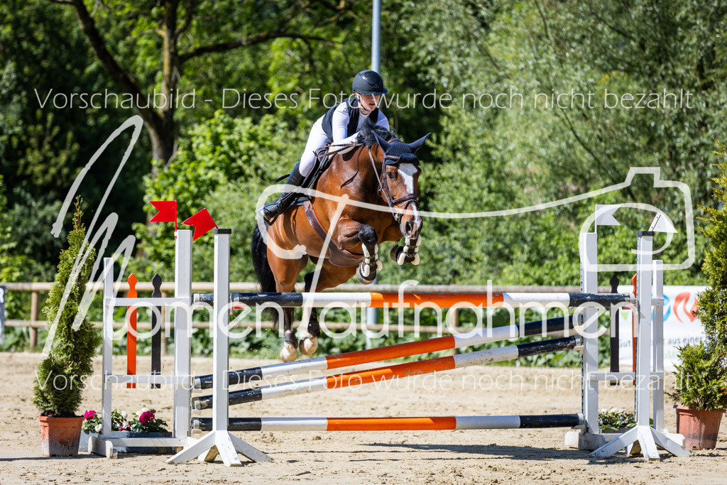 Donop24-M-Spr-061 | MomenTaufnahmen Pferdesportfotos