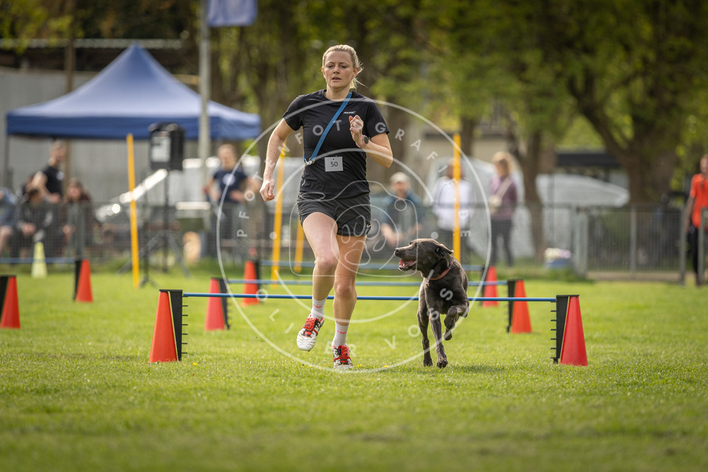 Pfotenfotografie_DV3A6111 | Hundefotografie, Tierfotograf, Pfotenfotografie, Fotoshooting Hund, Hunde Portrait, Hundesport, Hundeportraits, Heideshooting, Hunde, Sportfotograf, Hundefotograf, Turnierhundsport, THS,  - Realisiert mit Pictrs.com