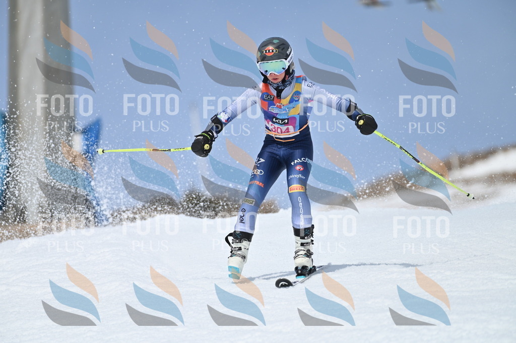 BGV_2827 | holidayphoto