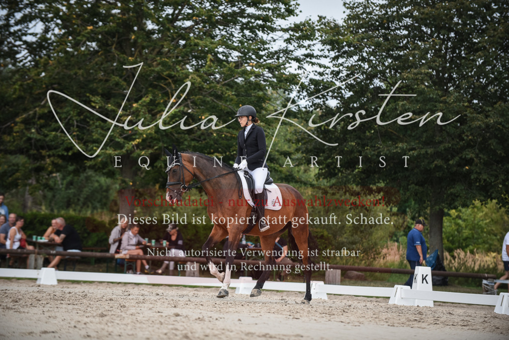 DSC_8543 | Pferde- und Turnierfotografie in Westsachsen. Pferdeportraits, Auftragszeichnungen und intuitive Kunst.