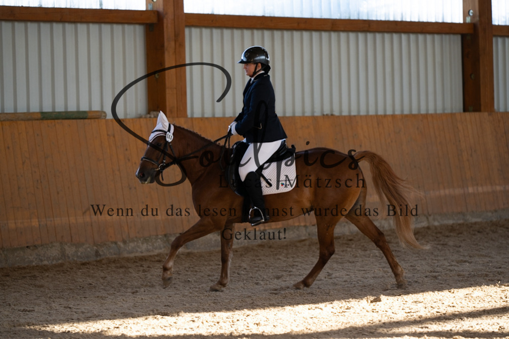 A7V01746 | Turnier/Reitfotograf