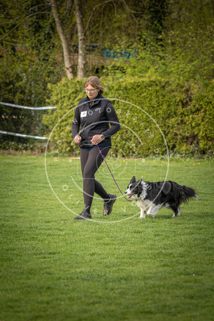 Pfotenfotografie_DV3A4875 | Hundefotografie, Tierfotograf, Pfotenfotografie, Fotoshooting Hund, Hunde Portrait, Hundesport, Hundeportraits, Heideshooting, Hunde, Sportfotograf, Hundefotograf, Turnierhundsport, THS,  - Realisiert mit Pictrs.com