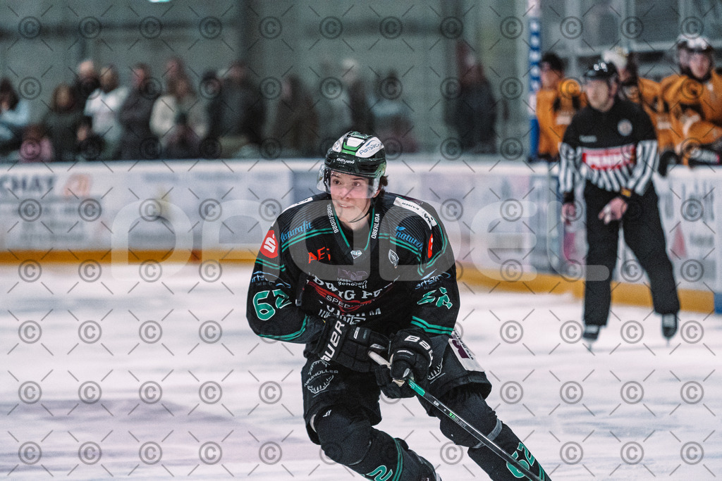 Alligators_vs_Fuessen_01_03_2026_PP-21 | Höchstadt Alligators Fotogalerie: Eishockey-Action aus Franken. Professionelle Spielfotos, Portraits & Stadionbilder zum Download. Jetzt entdecken! - Realisiert mit Pictrs.com