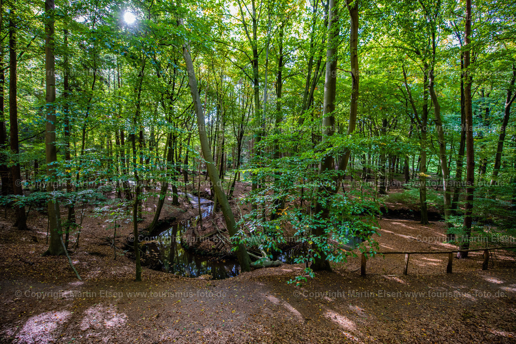 Harsefeld Steinbeck_ELS_3791061022 | Fotos aus den Touristenorten aus Norddeutschland. - Realisiert mit Pictrs.com