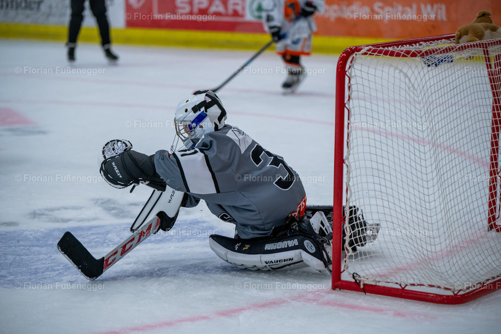 2025-03-01-Bärencup Wil-256 | "Fussifoto.com – Ihr Ansprechpartner für hochwertige Fotografie! Entdecken Sie kreative Bilder und professionelle Dienstleistungen. Kontaktieren Sie uns für Ihre Projekte!"