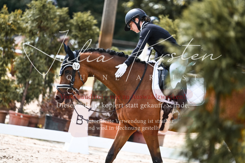 DSC_5171 | Pferde- und Turnierfotografie in Westsachsen. Pferdeportraits, Auftragszeichnungen und intuitive Kunst.