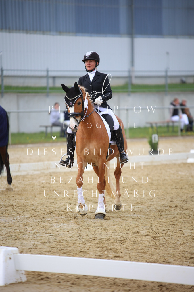 IMGT7421 | pl-fotografie