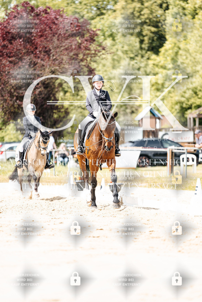 CK901881 | Turnierfotografie Pferdefotografie Trier Rheinland-Pfalz Pferdesport Reitsport Tierfotografie Sportfotografie Pferdevideo Pferdevideografie Equestrianvideography equestrianphotography  - Realisiert mit Pictrs.com