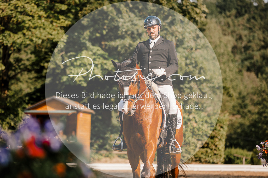 3I6A8934 | Stimmungsvolle Portraits und Reitsportfotografie im Ruhrgebiet und im Münsterland.

Pferdefotografie, Hundefotografie, Tierfotografie, Reportagen, Portraits von Tier und Mensch, Turnierfotografie in Bochum, Recklinghausen, Marl, Haltern am See, Dülmen.. - Realisiert mit Pictrs.com