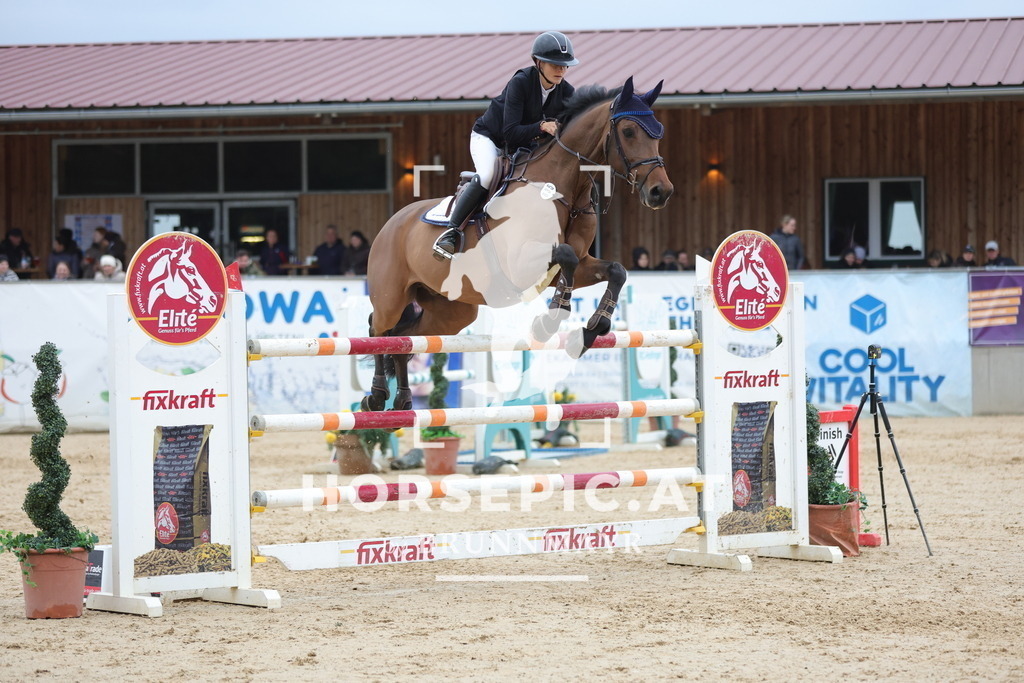 0P6A4491 | Willkommen bei Brunnmayr - Design & Fotografie – Ihrem Spezialisten für Reitturniere und Pferdeveranstaltungen in Oberösterreich, Salzburg und Bayern! Seit über 17 Jahren sind wir leidenschaftlich dabei.