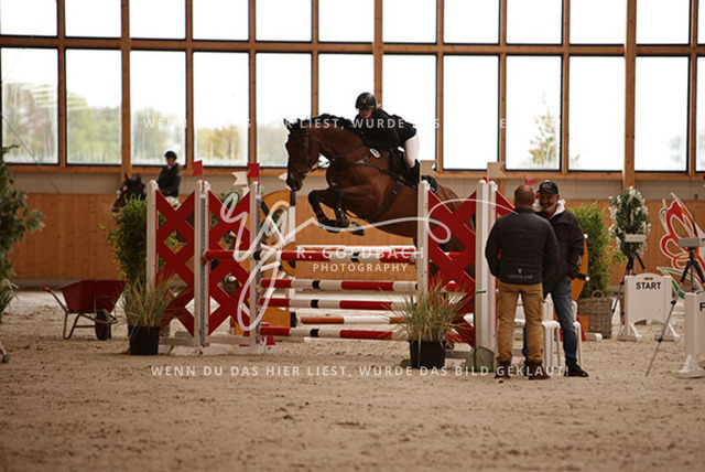 1J2A2337Louisa Schneider_ Vento 56_ Kn483_ Hohen Wieschendorf_ Glantz | Foto- und Videografie für alles rund ums Pferd. Hochwertige Bilder und Videos vom Spring- und Dressurreiten, Voltigieren & mehr. Jetzt aktuelle Veranstaltungen und Preise im Shop ansehen. - Realisiert mit Pictrs.com