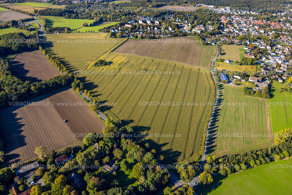 Bergkamen241006482Maiwald | Luftbild, dreieckige Baumgruppe auf einem Feld an der Lünener Straße, Acker, Feld, Baumgruppe, Landwirtschaft, Weddinghofen, Bergkamen, Ruhrgebiet, Nordrhein-Westfalen, Deutschland