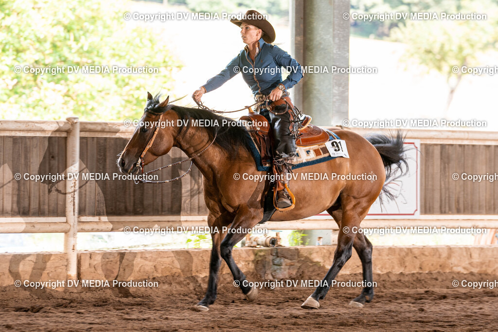 Erbach Tag 3-1116 | dv-media-shop - Realisiert mit Pictrs.com