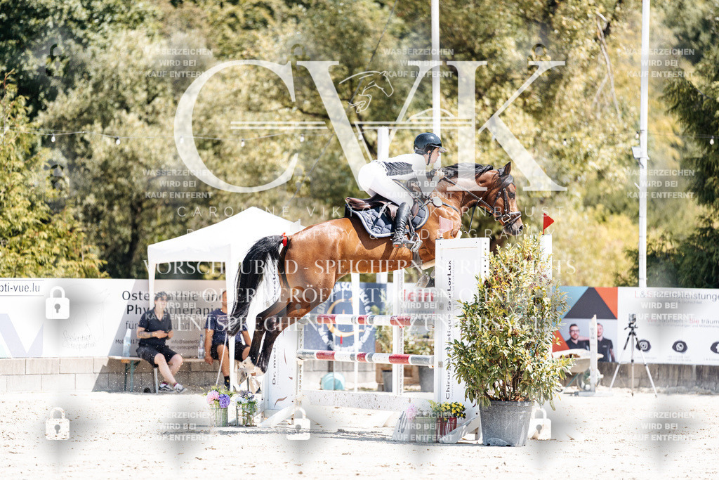 CK900272 | Turnierfotografie Pferdefotografie Trier Rheinland-Pfalz Pferdesport Reitsport Tierfotografie Sportfotografie Pferdevideo Pferdevideografie Equestrianvideography equestrianphotography  - Realisiert mit Pictrs.com