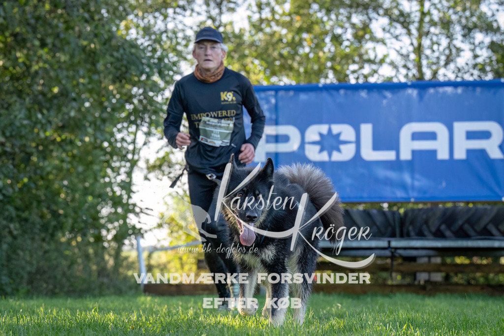 1013--6 | kk-dogfotos