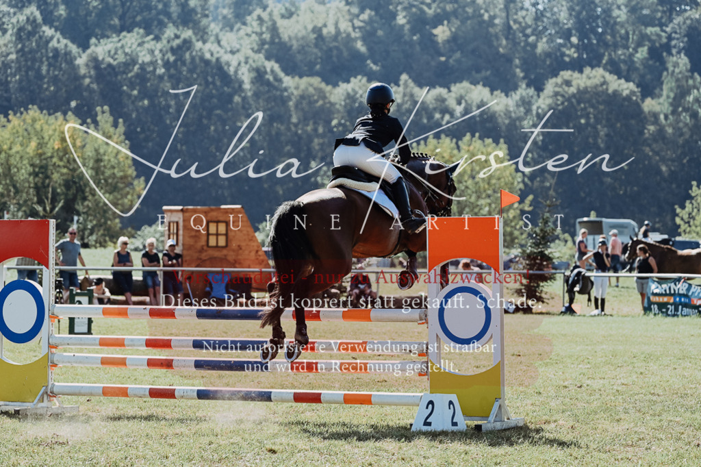 DSC_5545 | Pferde- und Turnierfotografie in Westsachsen. Pferdeportraits, Auftragszeichnungen und intuitive Kunst.