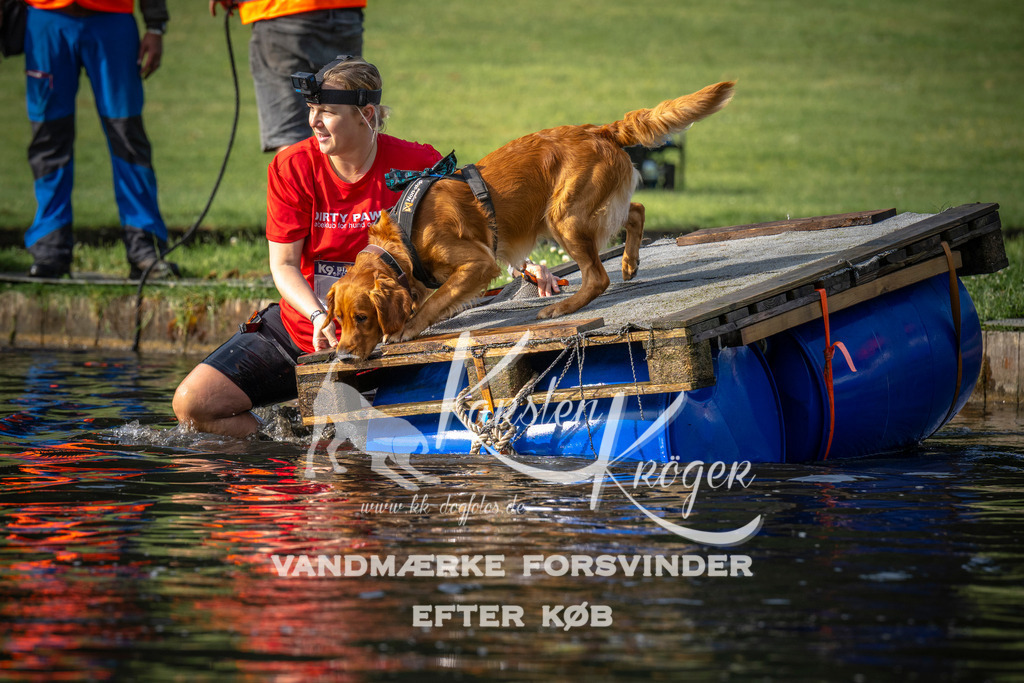 _ZZ941100712 | kk-dogfotos