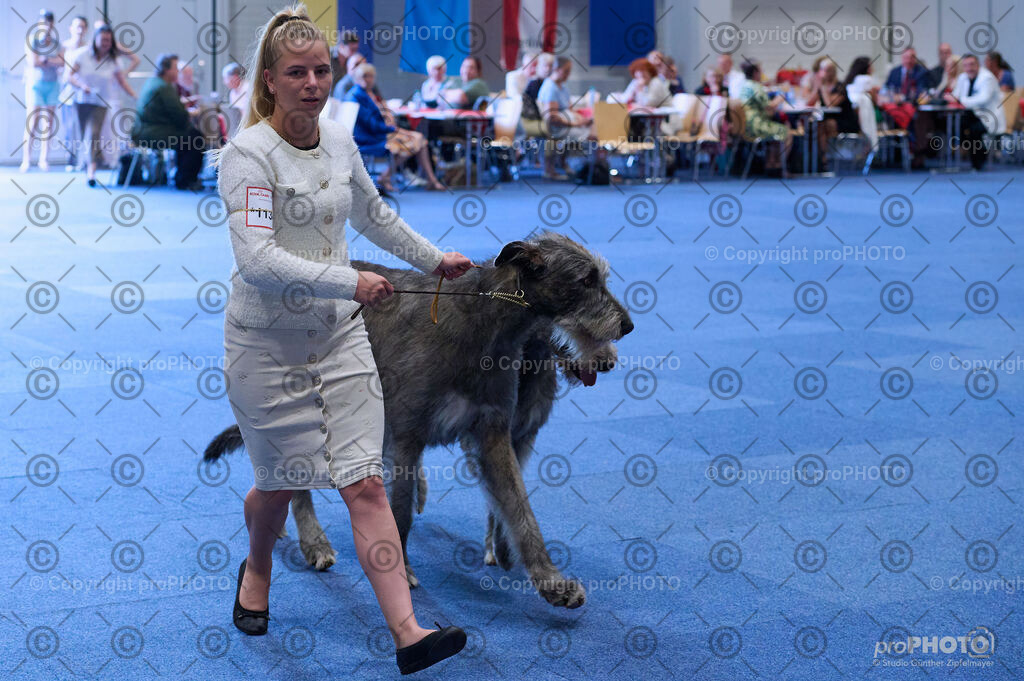 202406_ÖKV-IHA-Tulln24_DSC_3745 | proPHOTO - Realisiert mit Pictrs.com