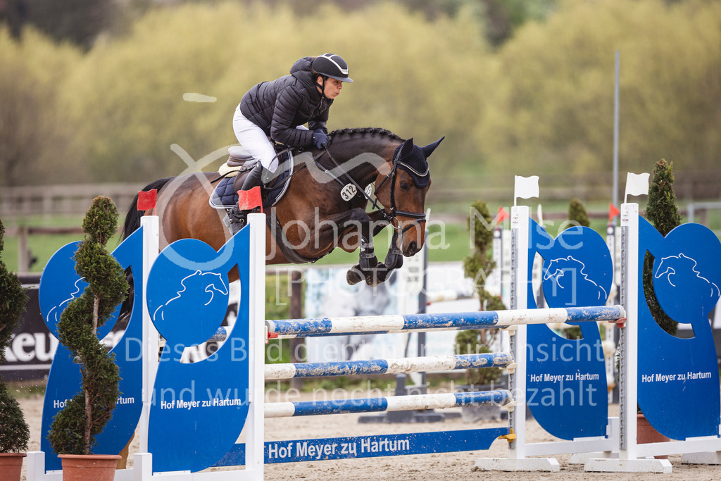 250417_Springpferde-L1-271 | Deine schönsten Turniermomente als professionelle Fotos! Entdecke hochwertige Pferdesport-Fotografie im Online-Shop. Jetzt Fotos finden & bestellen!