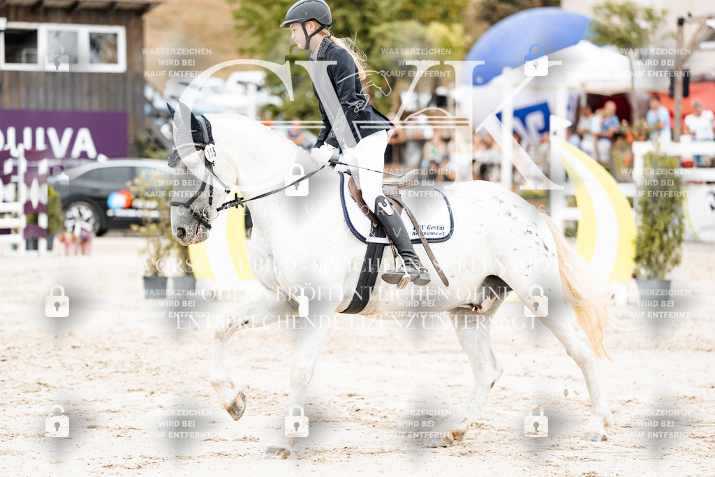 CK908312 | Turnierfotografie Pferdefotografie Trier Rheinland-Pfalz Pferdesport Reitsport Tierfotografie Sportfotografie Pferdevideo Pferdevideografie Equestrianvideography equestrianphotography  - Realisiert mit Pictrs.com