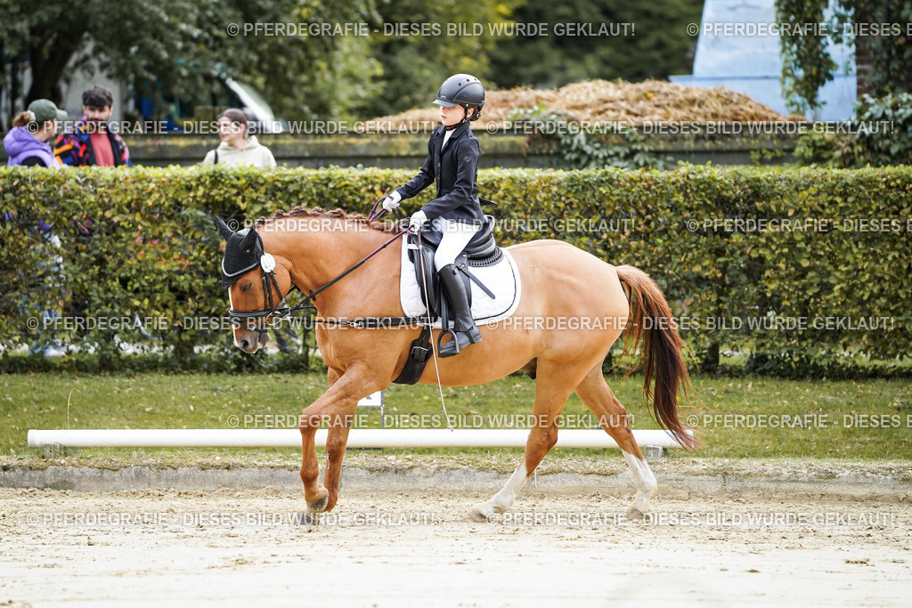 DSC05460 | Pferdegrafie