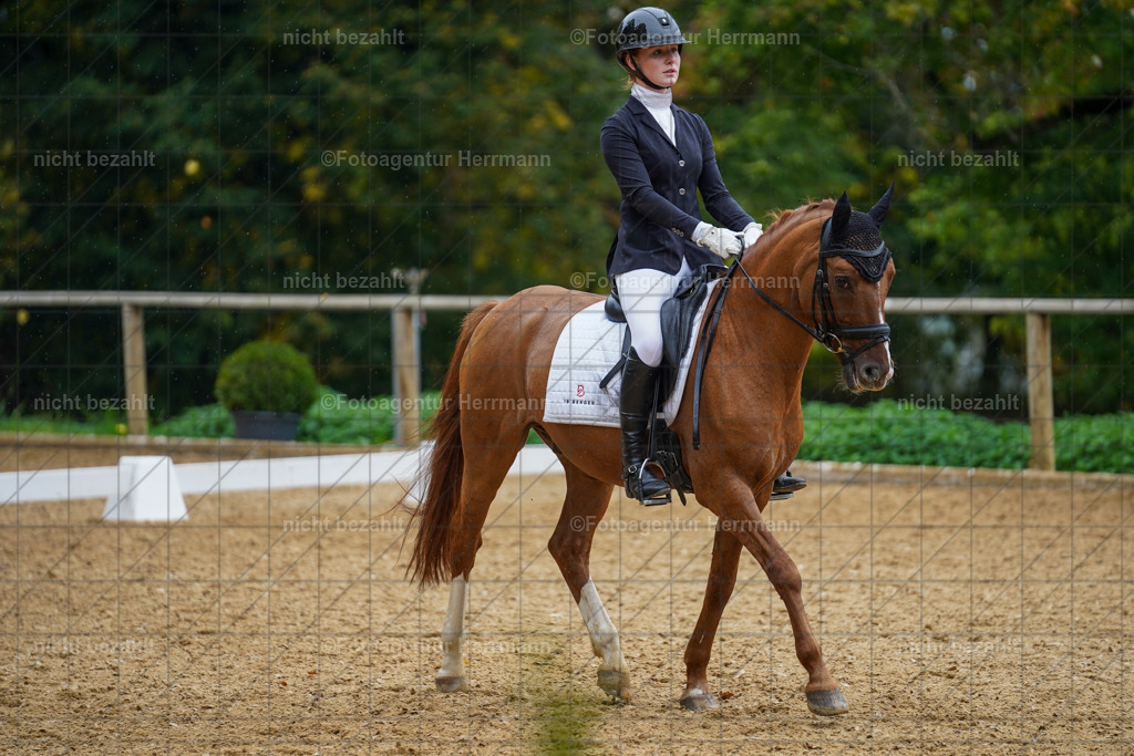 20221008-FAH01855 | Diessen am Ammersee, 2022, Dressur- und Springturnier, Reitsportbilder, Turnierfotografen Bayern, Pferdefotografen, Fotoagentur Herrmann, Turnierbilder