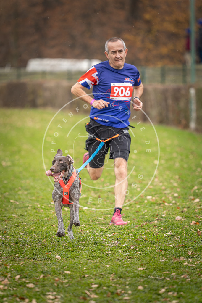 CaniXpix_DV3A7004 | Hundefotografie, Tierfotograf, Pfotenfotografie, Fotoshooting Hund, Hunde Portrait, Hundesport, Hundeportraits, Heideshooting, Hunde, Sportfotograf, Hundefotograf, Turnierhundsport, THS,  - Realisiert mit Pictrs.com