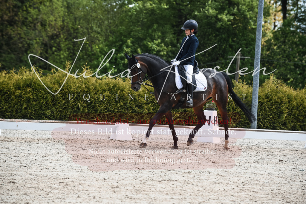 20230518_JK-Röhrsdorf-11-0554 | Pferde- und Turnierfotografie in Westsachsen. Pferdeportraits, Auftragszeichnungen und intuitive Kunst.