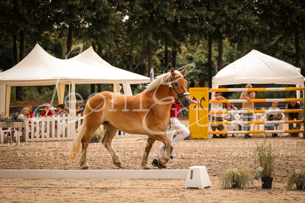 4.Sa00017 | Leoni Ertmer Photography - Realisiert mit Pictrs.com