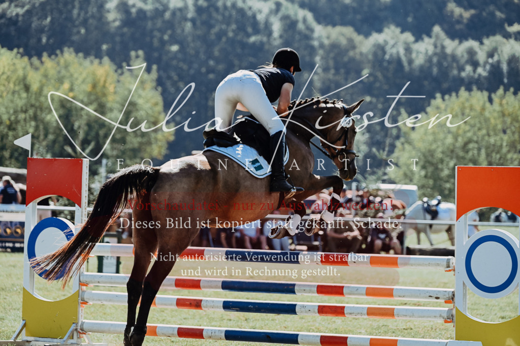 DSC_5934 | Pferde- und Turnierfotografie in Westsachsen. Pferdeportraits, Auftragszeichnungen und intuitive Kunst.