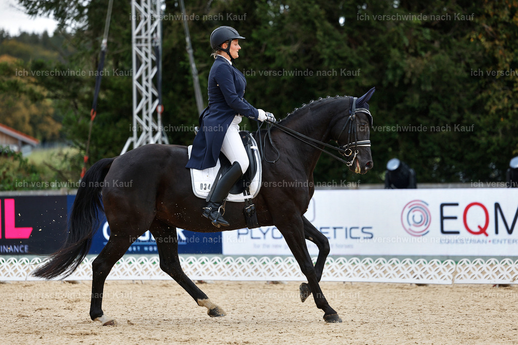 8_1-034-Klasse S_  -StoibPH-3794 | working equitationturnier fotograf videograf stoibphotography marixx film working equitation deutschland reitsport turnierfotografie eventfotografie equestrian events